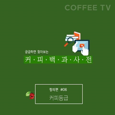 [궁굼하면 찾아보는 커피백과사전] 정의편(6) 커피등급