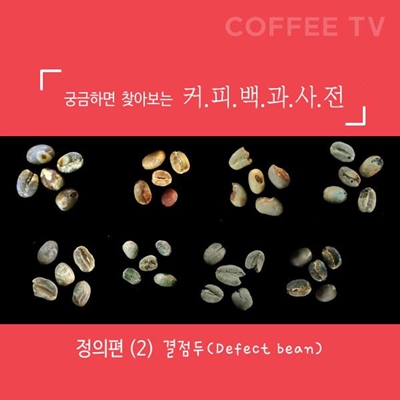 디펙트 빈(Defect bean)