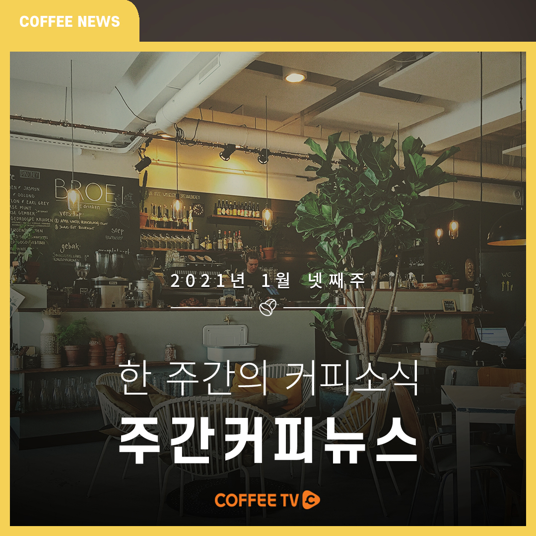 ☕ 1월 4주차 주간 커피 뉴스를 전합니다. ☕