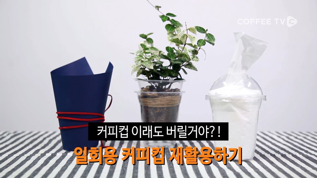 [Information] 테이크아웃 컵의 새로운 부활????! 내가 DIY의 장인이다????!(feat. 커피찌꺼기)