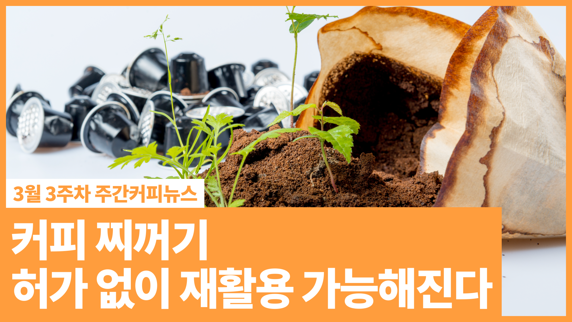 허가 없이 재활용 가능해지는 커피 찌꺼기 | 3월 3주차 주간커피뉴스