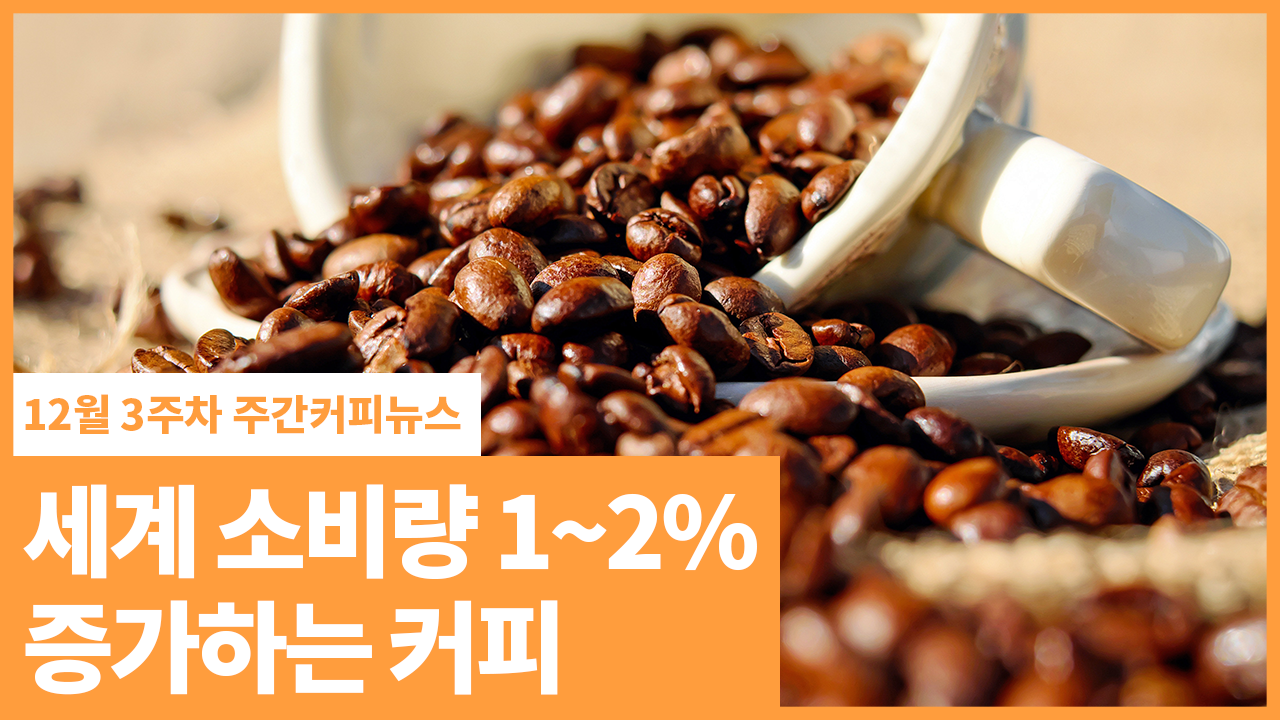 세계 소비량 1~2% 증가하는 커피 | 12월 3주차 주간커피뉴스