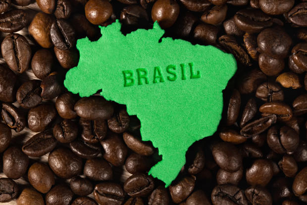 Figure Of Brazilian States With Coffee Beans Around