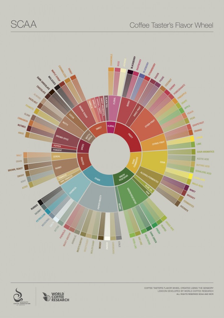 SCAA_FlavorWheel.01.18.15