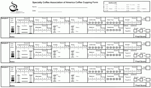 scaa-form-e1468068533423