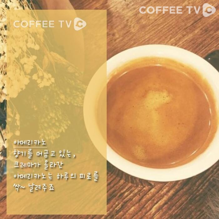 13532900_458827140983190_6842235151027801716_n