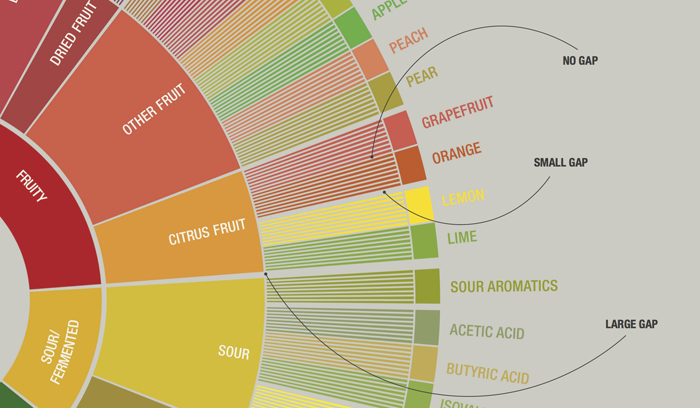 Flavor-Wheel