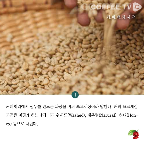 [궁금하면 찾아보는 커피백과사전] 정의편(4) 커피 프로세싱(Coffee Processing)