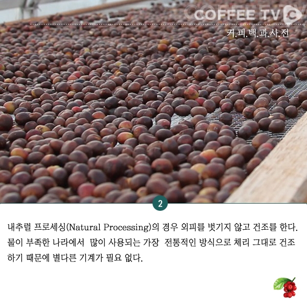 %ea%b6%81%ec%bb%a4%ec%82%ac_%ec%bb%a4%ed%94%bc%ed%94%84%eb%a1%9c%ec%84%b8%ec%8b%b1_3