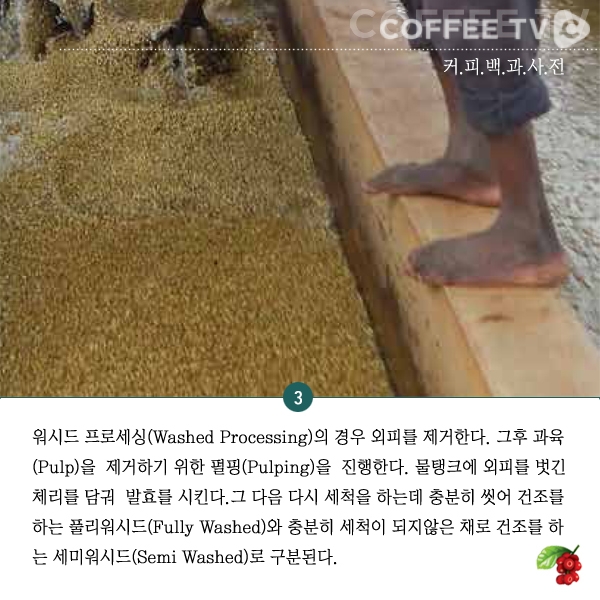 %ea%b6%81%ec%bb%a4%ec%82%ac_%ec%bb%a4%ed%94%bc%ed%94%84%eb%a1%9c%ec%84%b8%ec%8b%b1_4