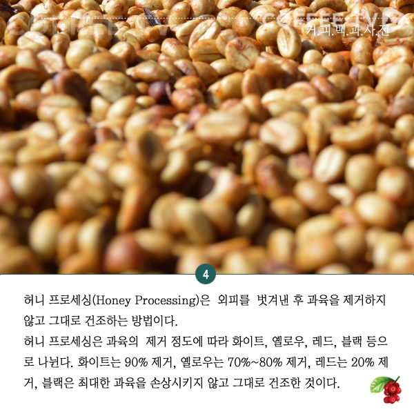 %ea%b6%81%ec%bb%a4%ec%82%ac_%ec%bb%a4%ed%94%bc%ed%94%84%eb%a1%9c%ec%84%b8%ec%8b%b1_5