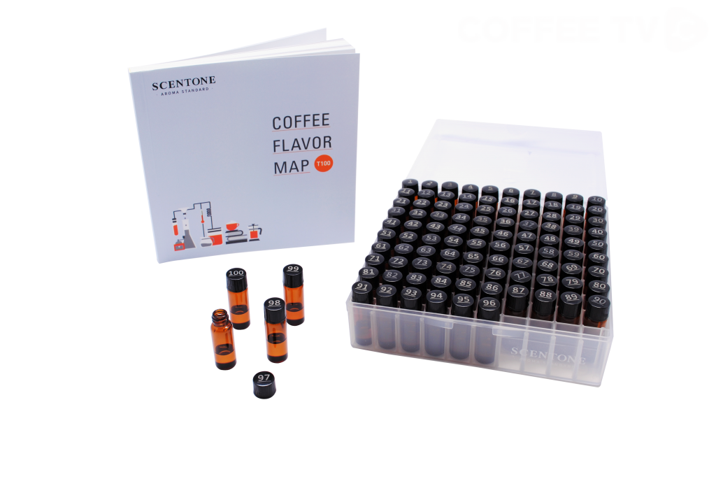 flavor-standard-coffee-flavor-map-t-100