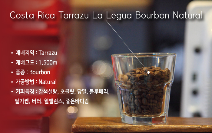 %ec%bd%94%ec%8a%a4%ed%83%80%eb%a6%ac%ec%b9%b4